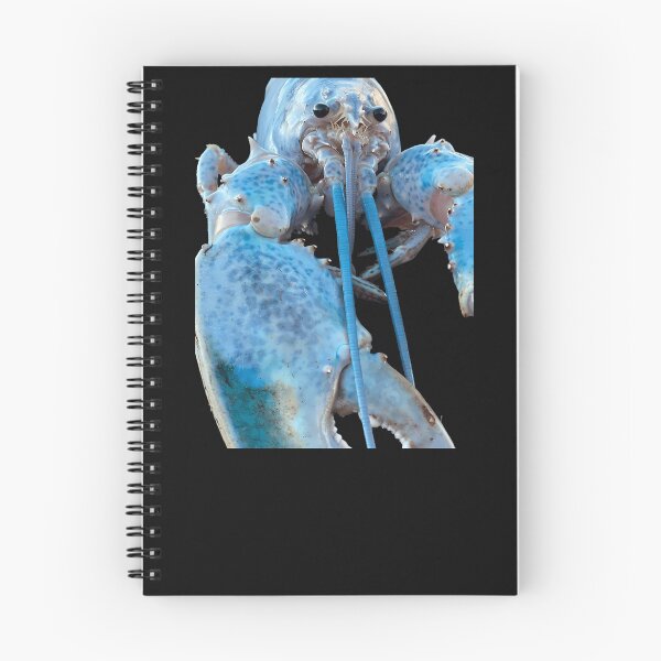 Item preview, Blue Lobster Jumpscare designed and sold by TDess.