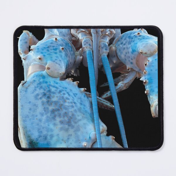 Item preview, Blue Lobster Jumpscare designed and sold by TDess.