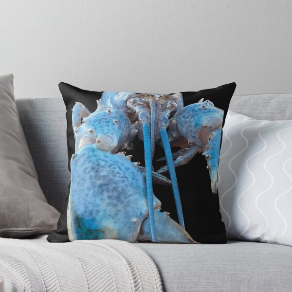 Item preview, Blue Lobster Jumpscare designed and sold by TDess.
