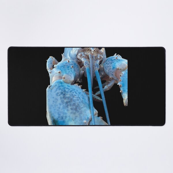 Item preview, Blue Lobster Jumpscare designed and sold by TDess.
