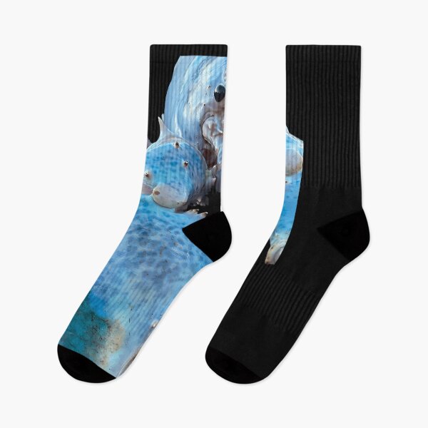 Item preview, Blue Lobster Jumpscare designed and sold by TDess.