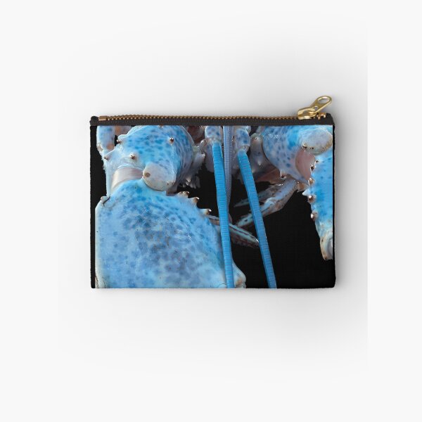Item preview, Blue Lobster Jumpscare designed and sold by TDess.