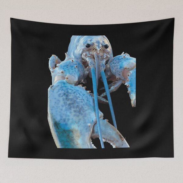 Item preview, Blue Lobster Jumpscare designed and sold by TDess.