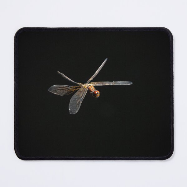 Item preview, Yellow-striped Flutterer designed and sold by robdwildlife.