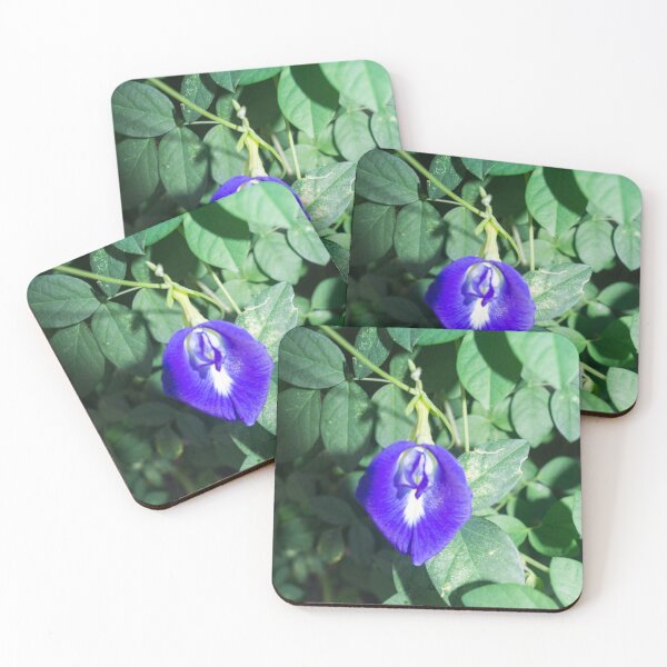 Item preview, Blue pea designed and sold by ROSE ANN BANILAR.