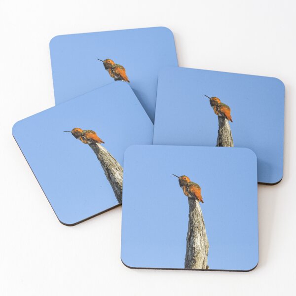 Item preview, Sentinel of the Open Sky (Allen’s or Rufous Hummingbird) designed and sold by TheHikersEye.
