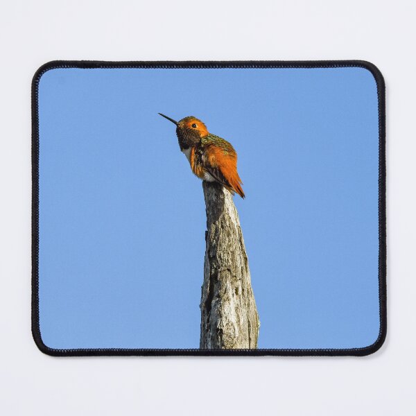 Item preview, Sentinel of the Open Sky (Allen’s or Rufous Hummingbird) designed and sold by TheHikersEye.
