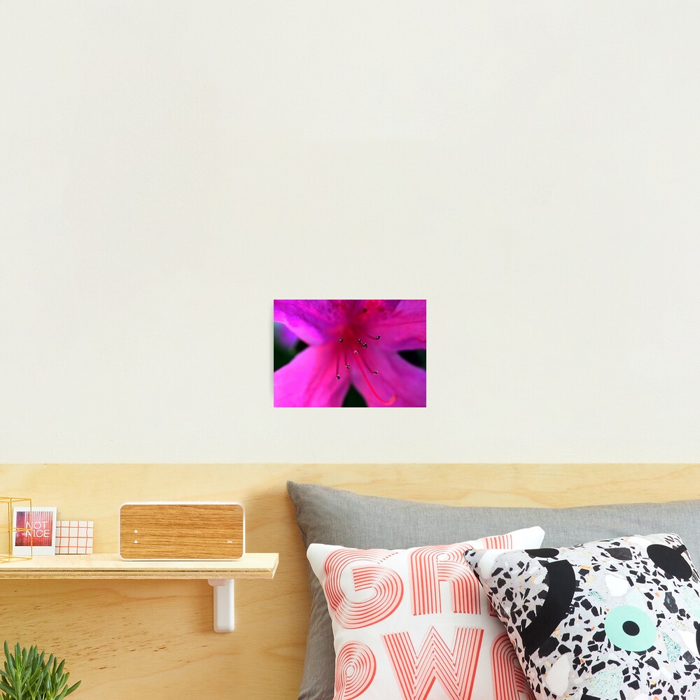 Item preview, Photographic Print designed and sold by Ryleigh.