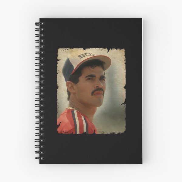 Item preview, Dwight Gooden And Darryl Strawberry History designed and sold by Mst Shahida.