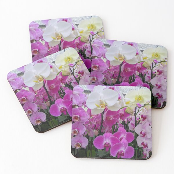 Aperçu de l'œuvre Orchidées magnifiques blanches et magenta créée et vendue par Shapes-Mania.