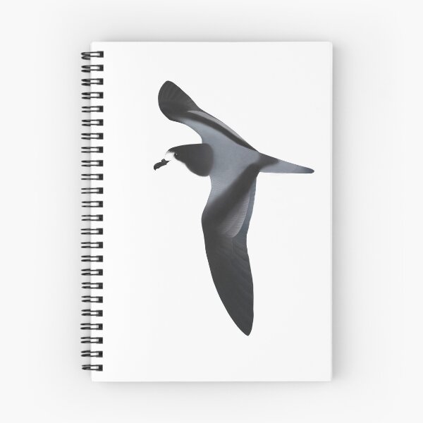 Item preview, Gould's Petrel designed and sold by ZoObsessed.