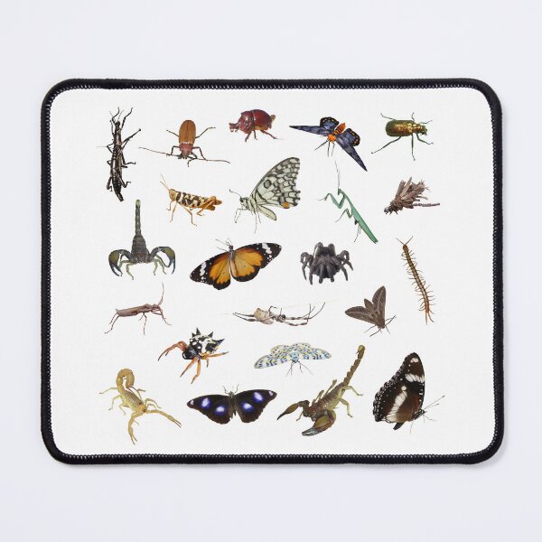 Item preview, Butterflies, beetles, scorpions, spiders and more designed and sold by ZoObsessed.