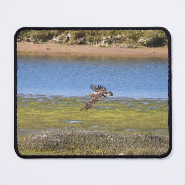 Item preview, Silent Hunter in Flight (Raptor Over Marshland) designed and sold by TheHikersEye.