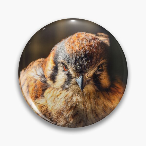 Item preview, Fierce Beauty — American Kestrel Portrait designed and sold by TheHikersEye.