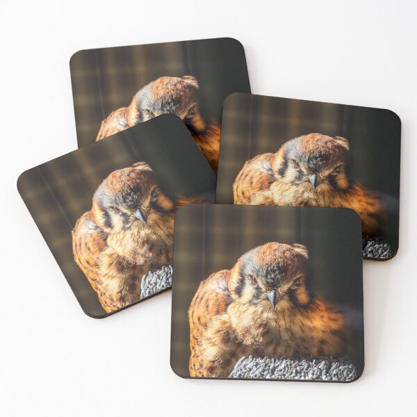 Item preview, Fierce Beauty — American Kestrel Portrait designed and sold by TheHikersEye.
