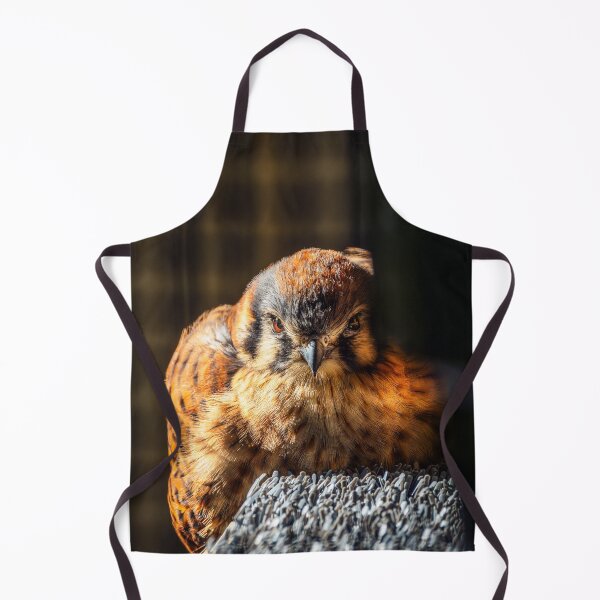 Item preview, Fierce Beauty — American Kestrel Portrait designed and sold by TheHikersEye.