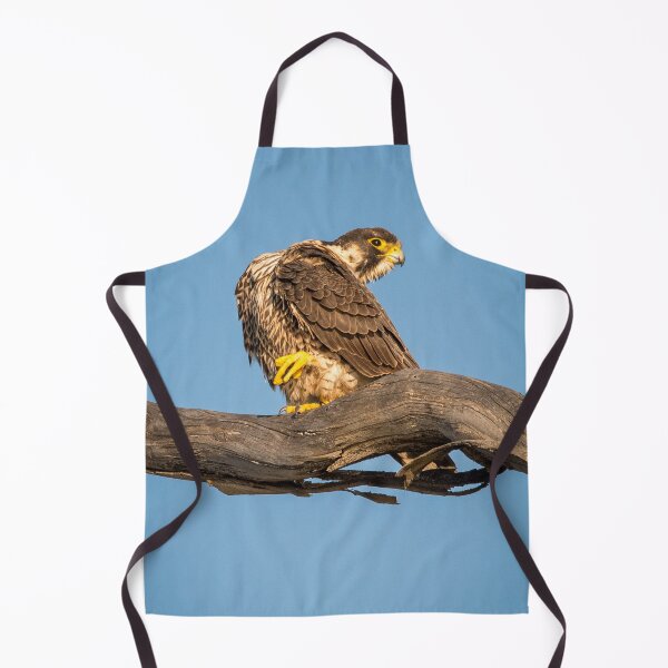 Item preview, Golden Falcon at Rest designed and sold by TheHikersEye.