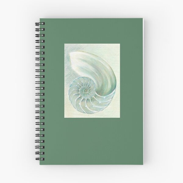 Item preview, Nautilus in sage green and seaglass designed and sold by LisaLeQuelenec.