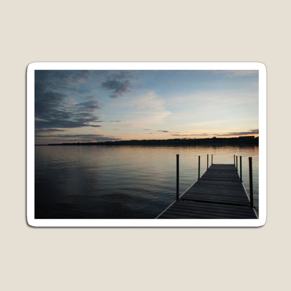 Lake View Magnet