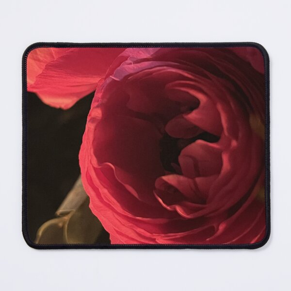 Item preview, Pink Ranunculus Close‑Up Floral Photography designed and sold by PeridotGypsy.