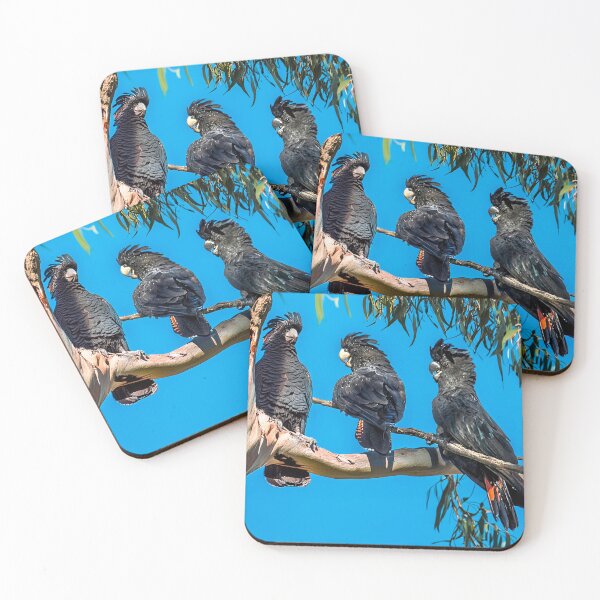 Item preview, Three Black Cockatoos designed and sold by sandraanderson.