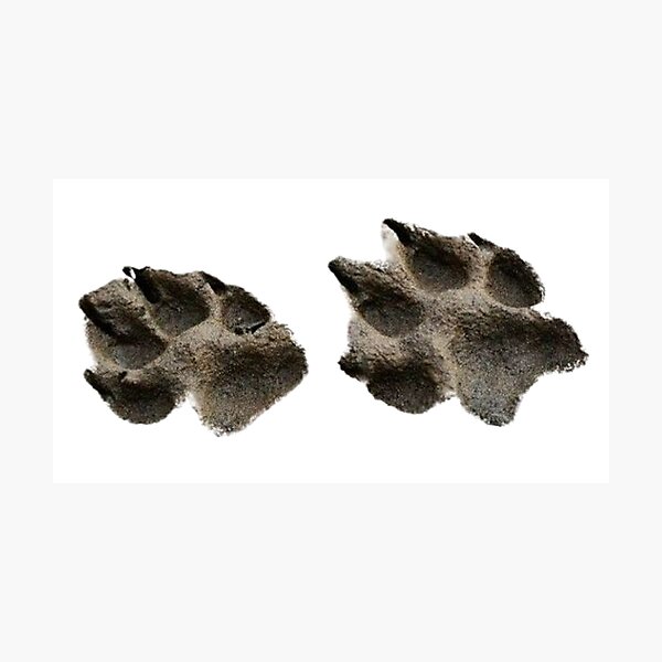 Item preview, paw prints designed and sold by inainart.