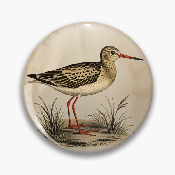 Item preview, Common Redshank Bird Poster – Le Chevalier gambette – Vintage Bird Illustration from 19th Century Atlas Print designed and sold by Jeeklsdotcom.