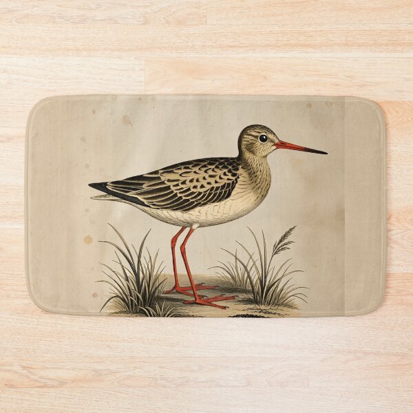 Item preview, Common Redshank Bird Poster – Le Chevalier gambette – Vintage Bird Illustration from 19th Century Atlas Print designed and sold by Jeeklsdotcom.