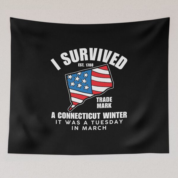 Item preview, Connecticut winter designed and sold by Peerless-Prime.