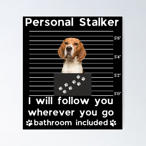 Item preview, Beagle Personal Stalker Funny Dog Mom Sticker | I Will Follow You Everywhere Bathroom Included designed and sold by B-KaneDesigns.