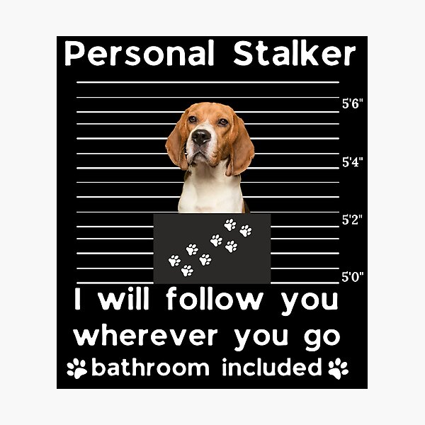Item preview, Beagle Personal Stalker Funny Dog Mom Sticker | I Will Follow You Everywhere Bathroom Included designed and sold by B-KaneDesigns.