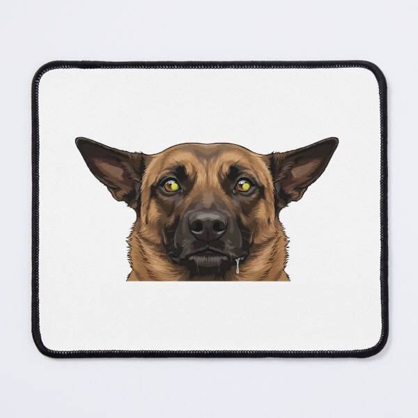 Item preview, Ball Is Life Obsessed Belgian Malinois designed and sold by Petzzz.