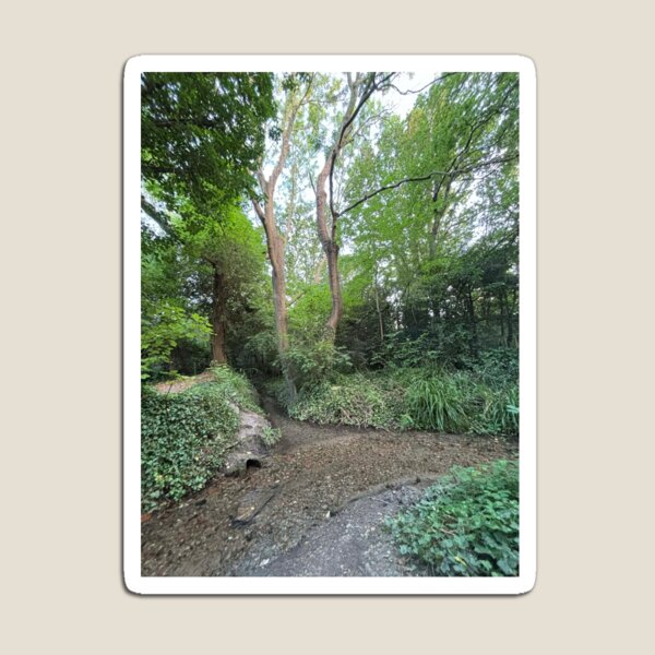 Item preview, Hogsmill Nature Reserve Woodland ? | Surrey & Greater London Forest Trail | UK Nature Aesthetic Photo designed and sold by ThatSurreyLife.