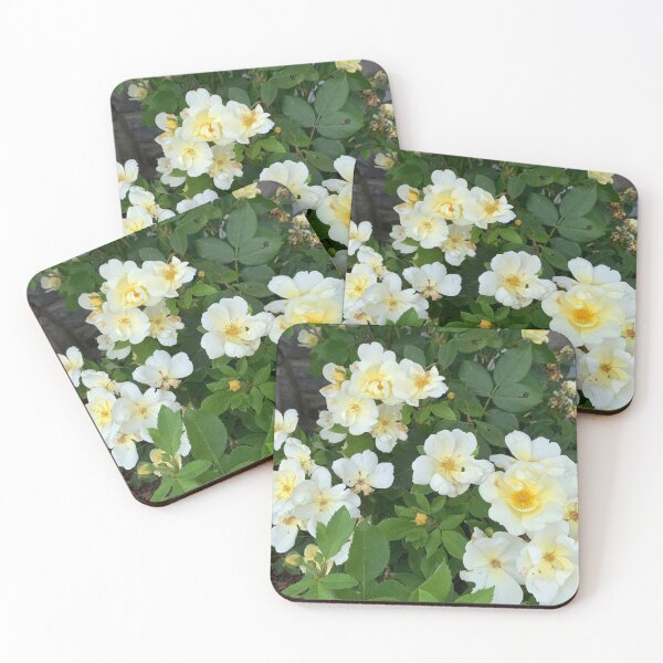 Item preview, White petals designed and sold by Harmonyfellowship23.