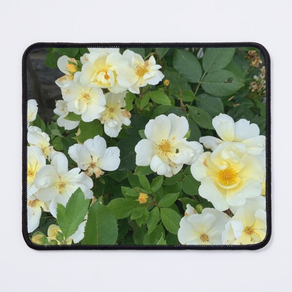 Item preview, White petals designed and sold by Harmonyfellowship23.