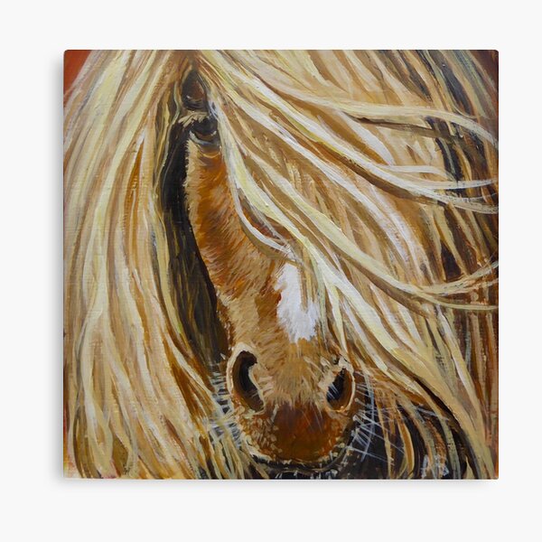 Shetland Pony Canvas Print