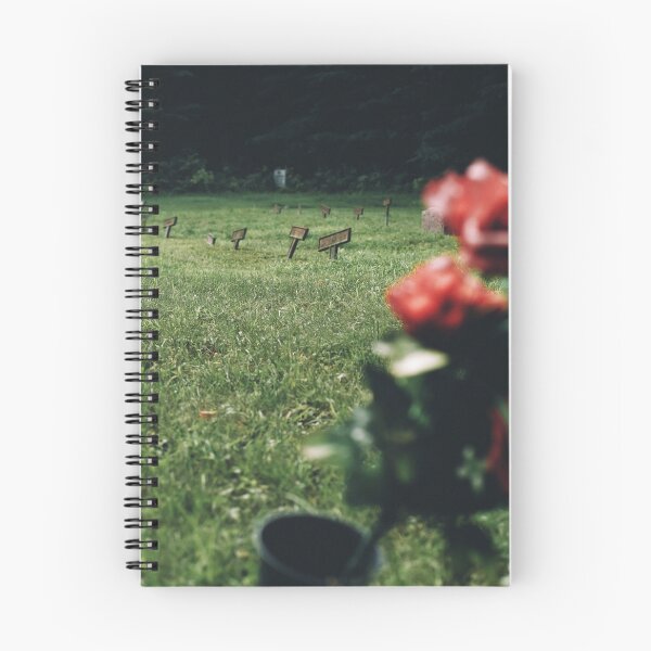 Item preview, letchworth asylum Cemetery  designed and sold by B25-Designs.