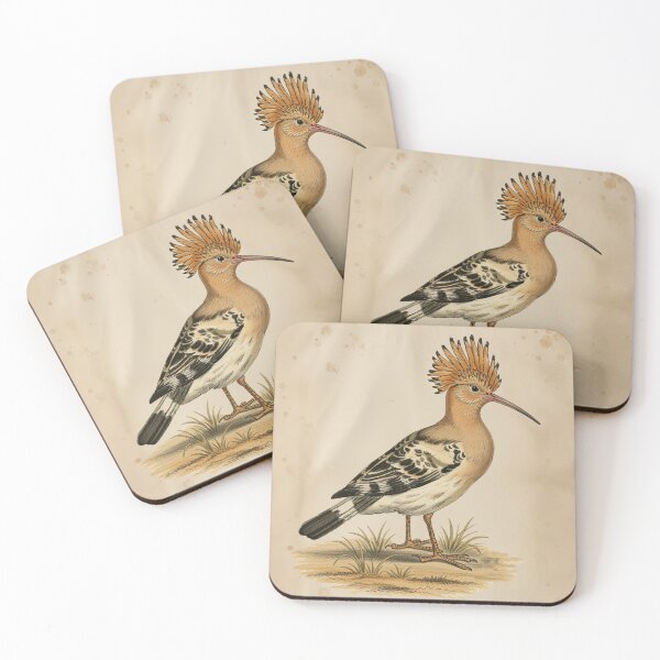Item preview, Vintage Hoopoe Bird – Upupa epops – Vintage Bird Illustration from 19th Century Atlas designed and sold by Jeeklsdotcom.