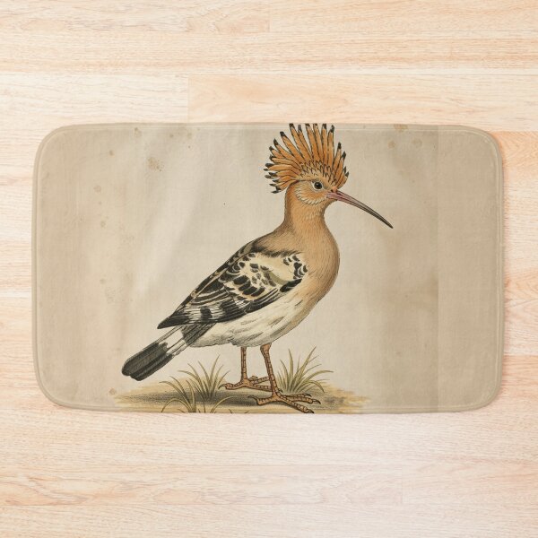 Item preview, Vintage Hoopoe Bird – Upupa epops – Vintage Bird Illustration from 19th Century Atlas designed and sold by Jeeklsdotcom.