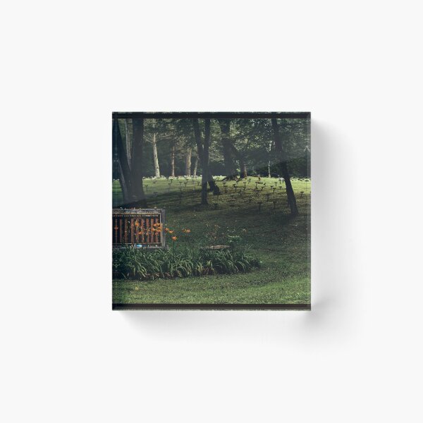 Item preview, letchworth asylum Cemetery  designed and sold by B25-Designs.