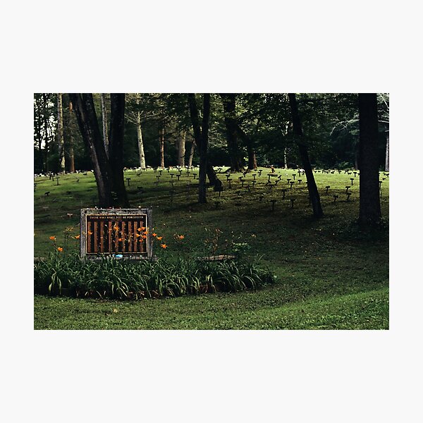 Item preview, letchworth asylum Cemetery  designed and sold by B25-Designs.