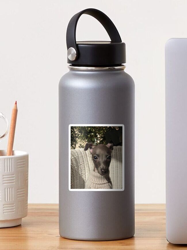 greyhound turtleneck