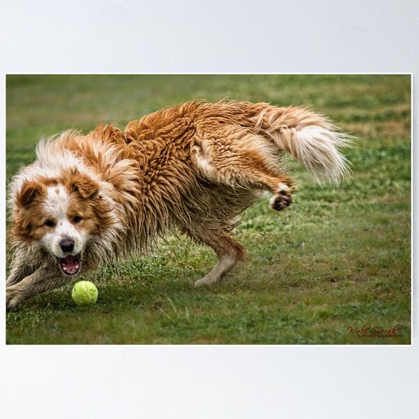 Item preview, Cornering at Speed - Not an Easy Task designed and sold by Wolf Sverak Photography.