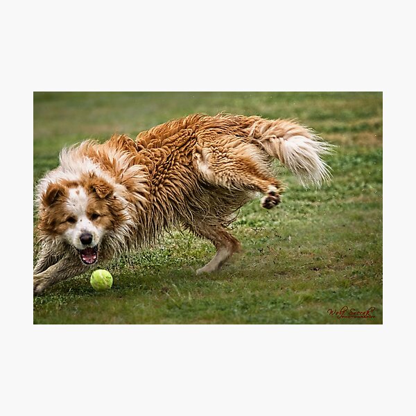 Item preview, Cornering at Speed - Not an Easy Task designed and sold by Wolf Sverak Photography.
