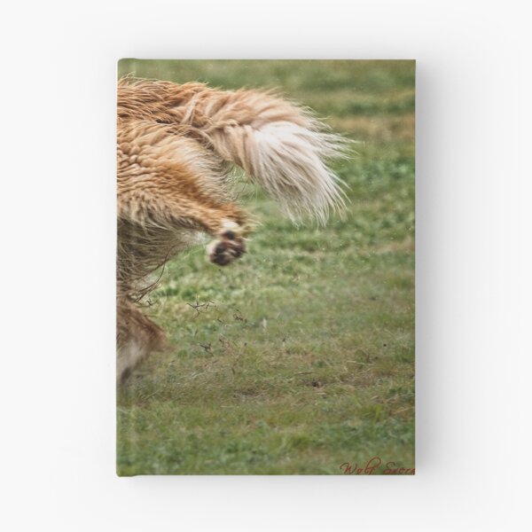 Item preview, Cornering at Speed - Not an Easy Task designed and sold by Wolf Sverak Photography.