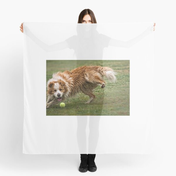 Item preview, Cornering at Speed - Not an Easy Task designed and sold by Wolf Sverak Photography.