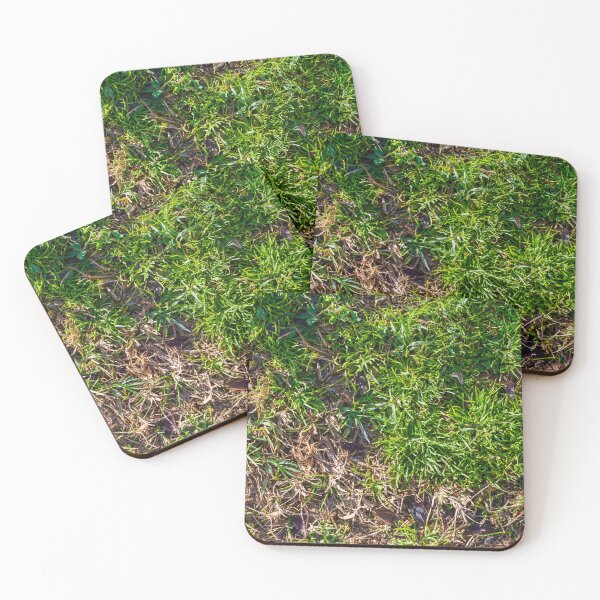 Item preview, Lush Green Grass With Brown Dry Patches On An Outdoor Lawn Surface designed and sold by Nmallia.