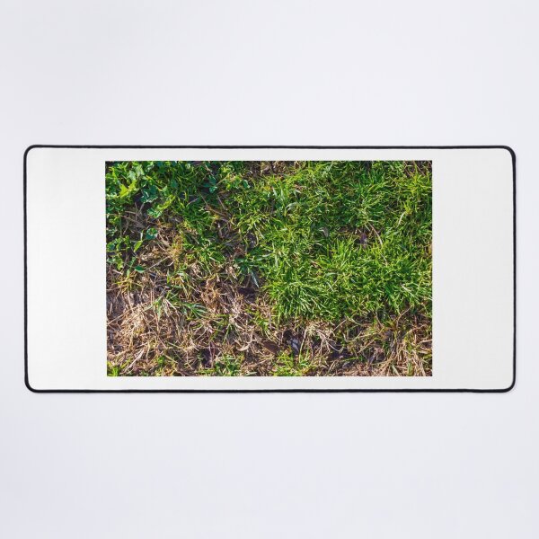 Item preview, Lush Green Grass With Brown Dry Patches On An Outdoor Lawn Surface designed and sold by Nmallia.