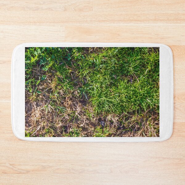 Item preview, Lush Green Grass With Brown Dry Patches On An Outdoor Lawn Surface designed and sold by Nmallia.