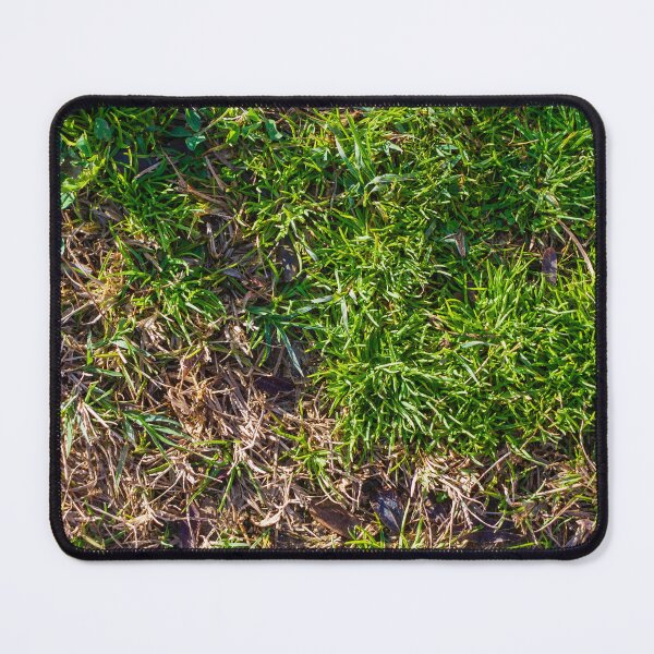 Item preview, Lush Green Grass With Brown Dry Patches On An Outdoor Lawn Surface designed and sold by Nmallia.